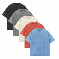 Black+Grey+Apricot+Orange+Light Blue
